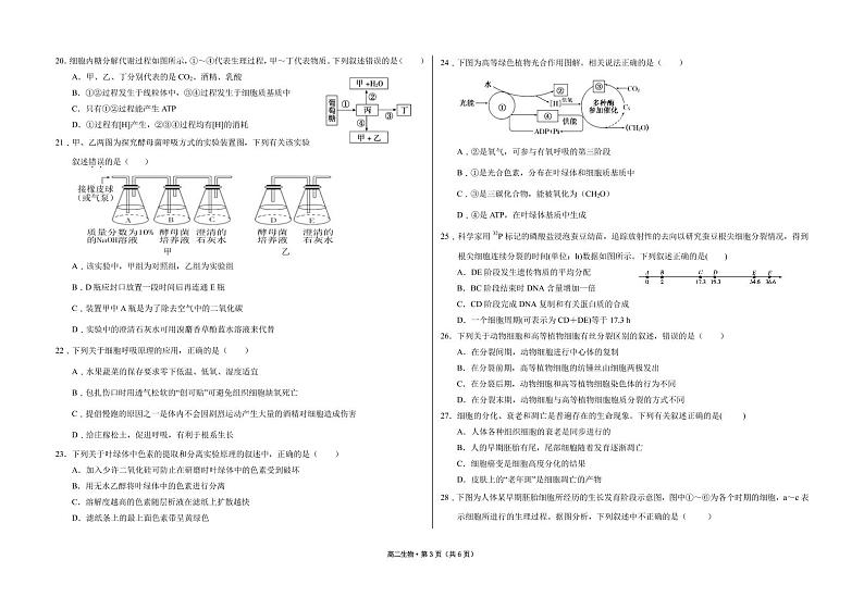 2021武威一中高二上学期期末考试生物试题PDF版含答案03