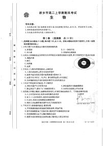 2021新乡高二上学期期末考试生物试题扫描版含答案