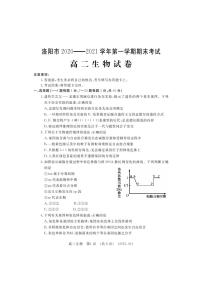 2021洛阳高二上学期期末考试生物试题PDF版含答案