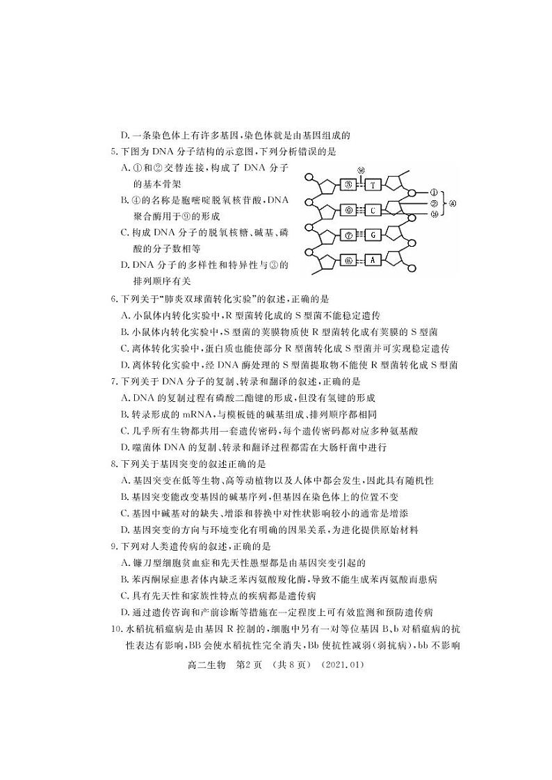 2021洛阳高二上学期期末考试生物试题PDF版含答案02