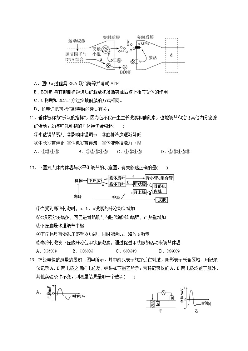 2021南昌二中高二上学期期末考试生物试题含答案03