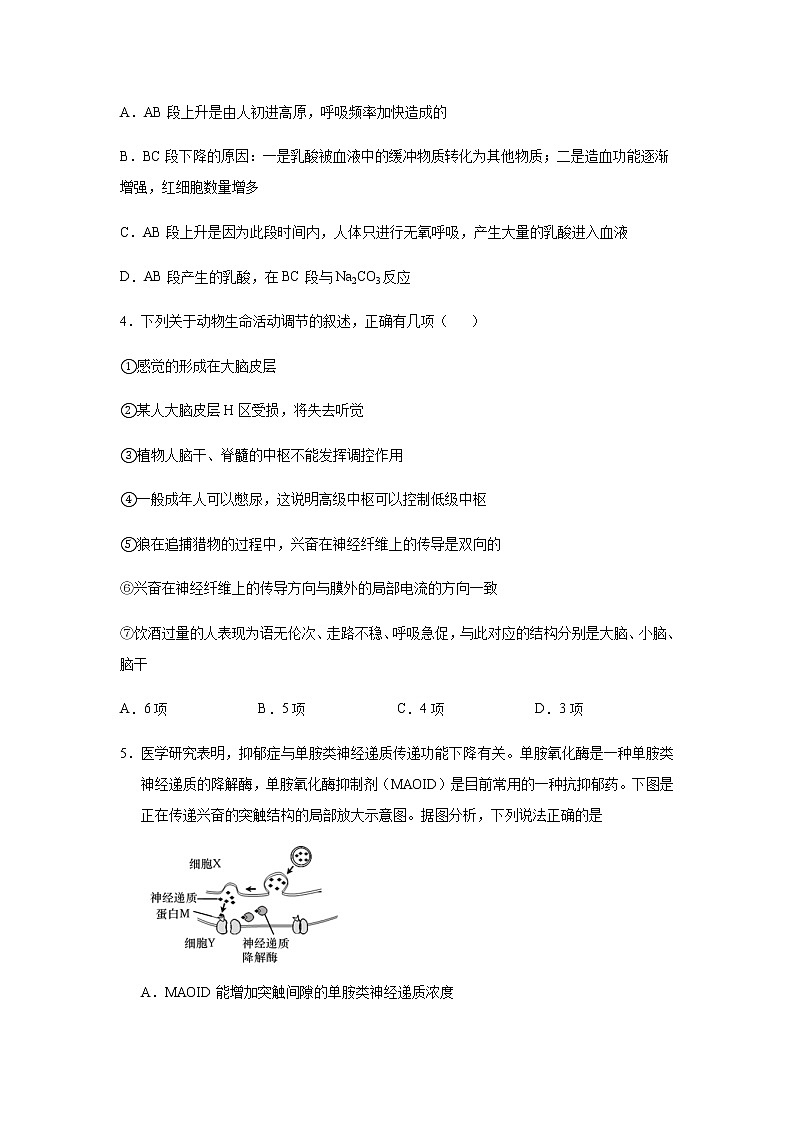 2021邯郸大名县一中高二上学期期末考试生物试题含答案02