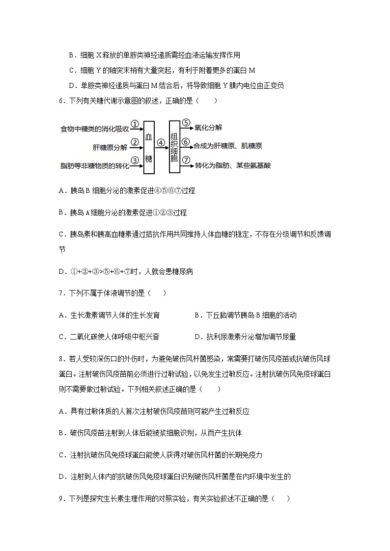 2021邯郸大名县一中高二上学期期末考试生物试题含答案03