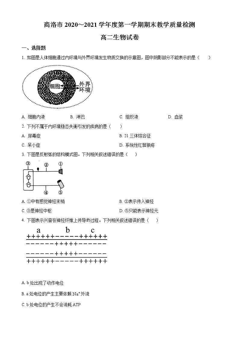 2021商洛高二上学期期末生物试题含答案第1页