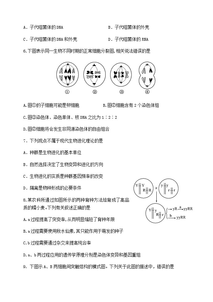 2021汕头金山中学高二上学期期末考试生物含答案02