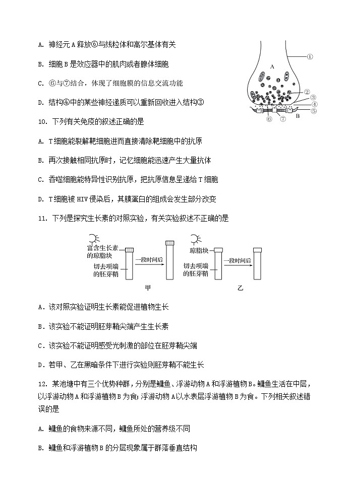 2021汕头金山中学高二上学期期末考试生物含答案03