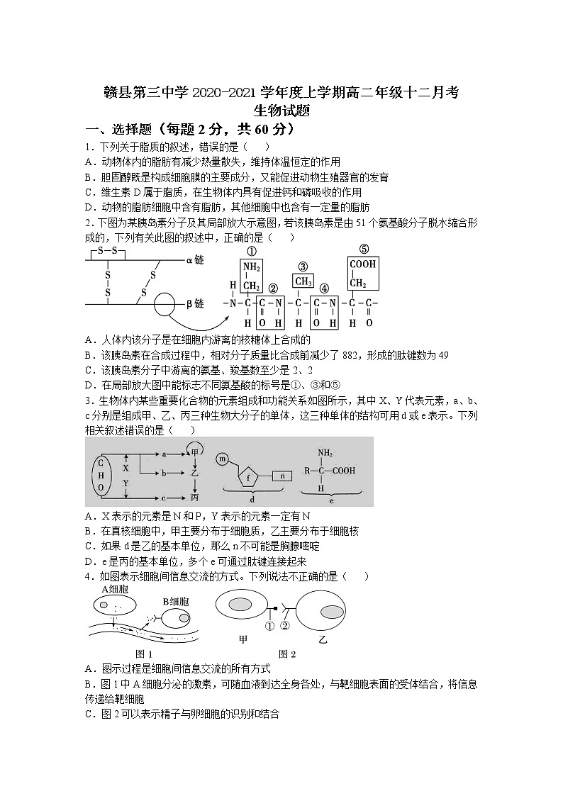 2021赣县三中高二上学期12月月考生物试卷含答案第1页