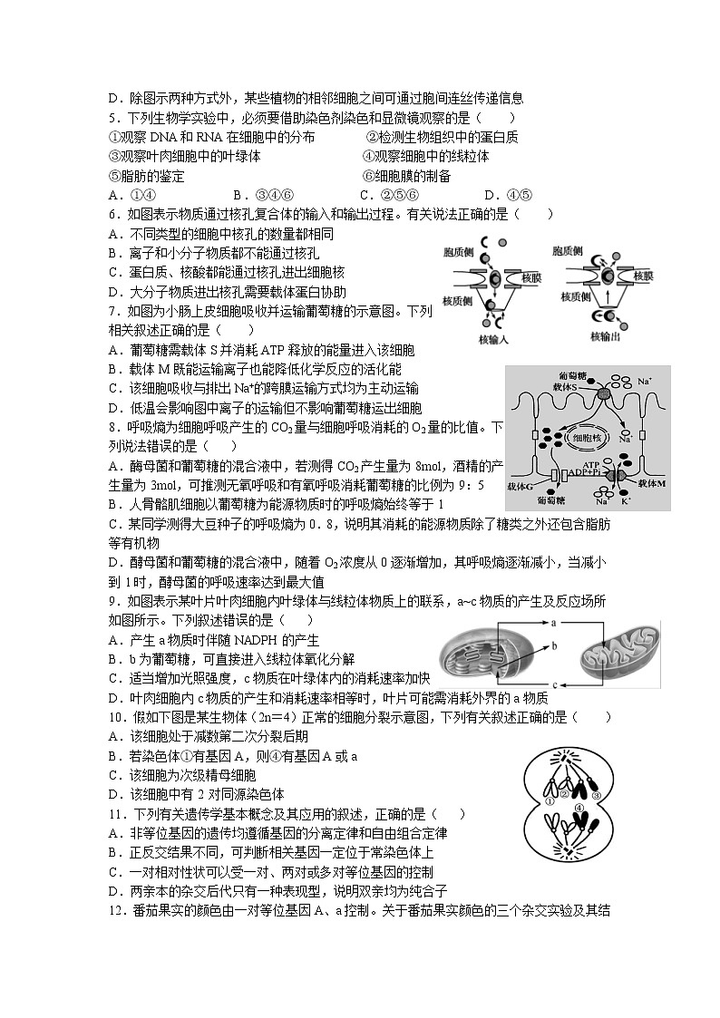 2021赣县三中高二上学期12月月考生物试卷含答案第2页