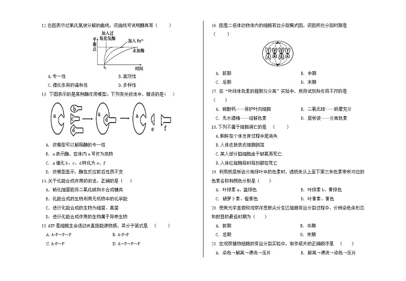 2021兰州第四片区高二上学期期末考试生物（文）试题含答案02