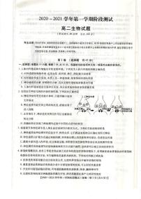 2021邯郸大名一中、磁县一中邯山区一中永年一中等五校高二上学期12月阶段检测生物试题扫描版含答案