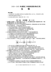 2021河南省名校联盟高二上学期12月联合考试生物试题扫描版含答案