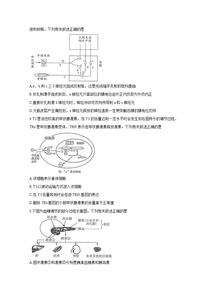 2021常熟高二上学期期中考试生物含答案第2页