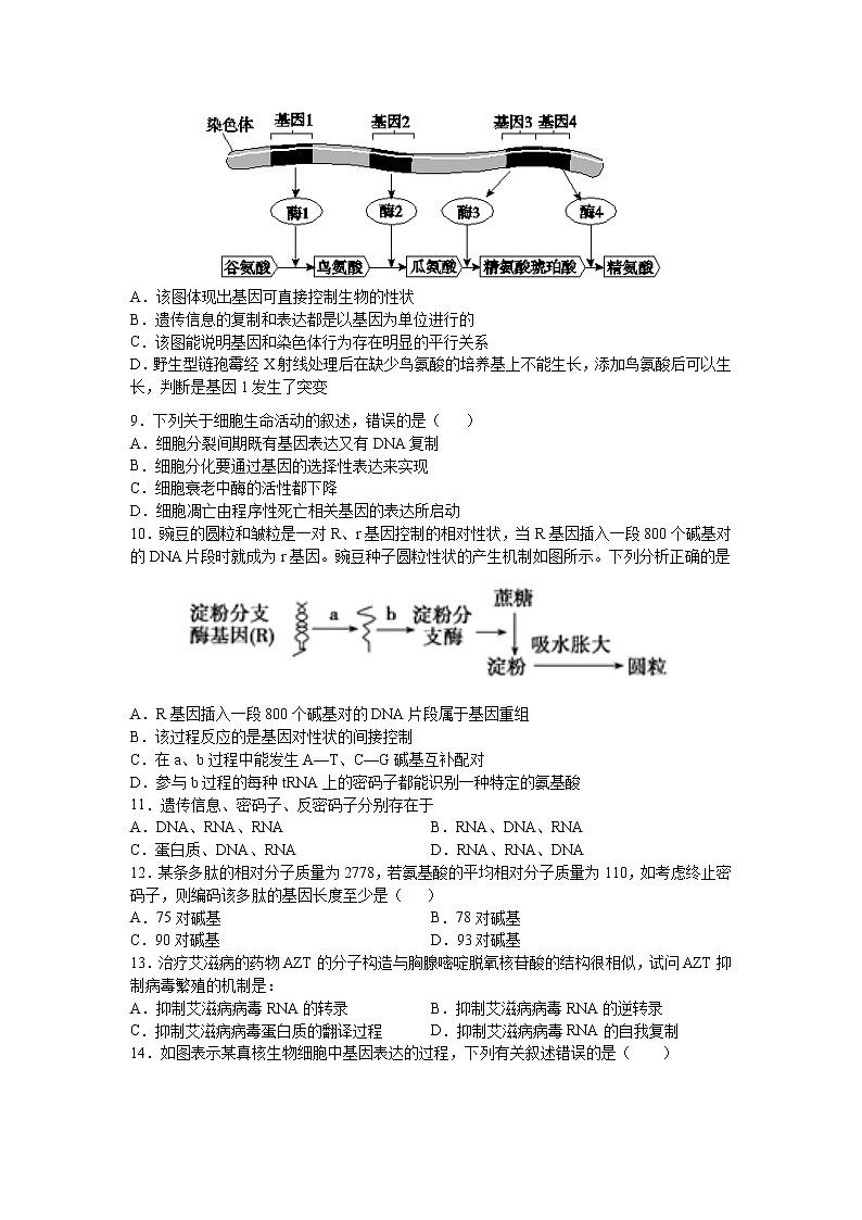 2021南昌八一中学高二12月考试生物试题含答案02