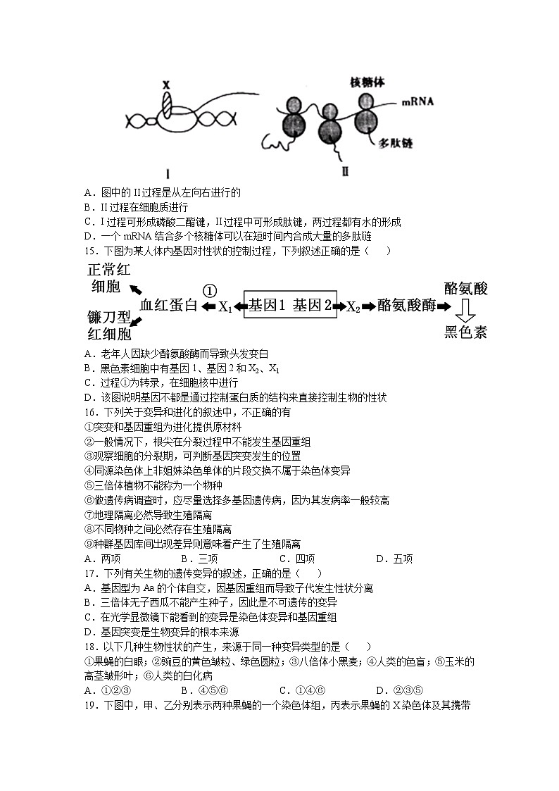 2021南昌八一中学高二12月考试生物试题含答案03