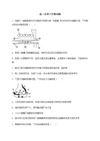 2021内蒙古集宁一中（西校区）高二上学期第二次月考生物试题含答案