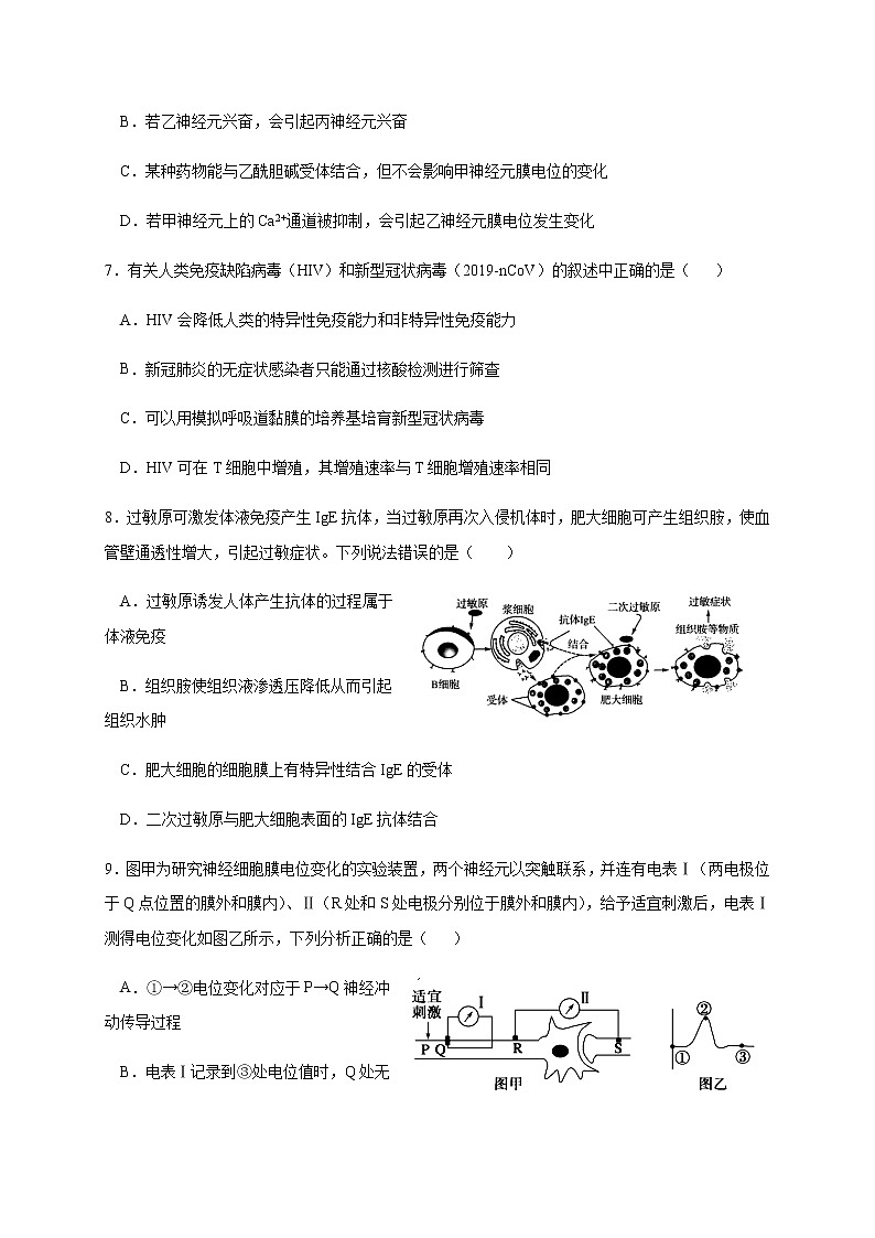 2021鹤壁高级中学高二上学期尖子生联赛调研一生物试题含答案第3页