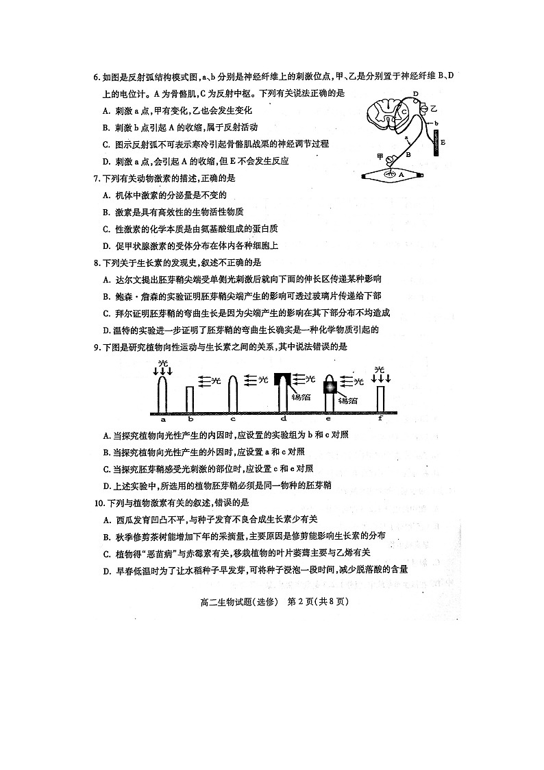 2021徐州高二上学期期中考试生物试卷（选修）扫描版含答案02