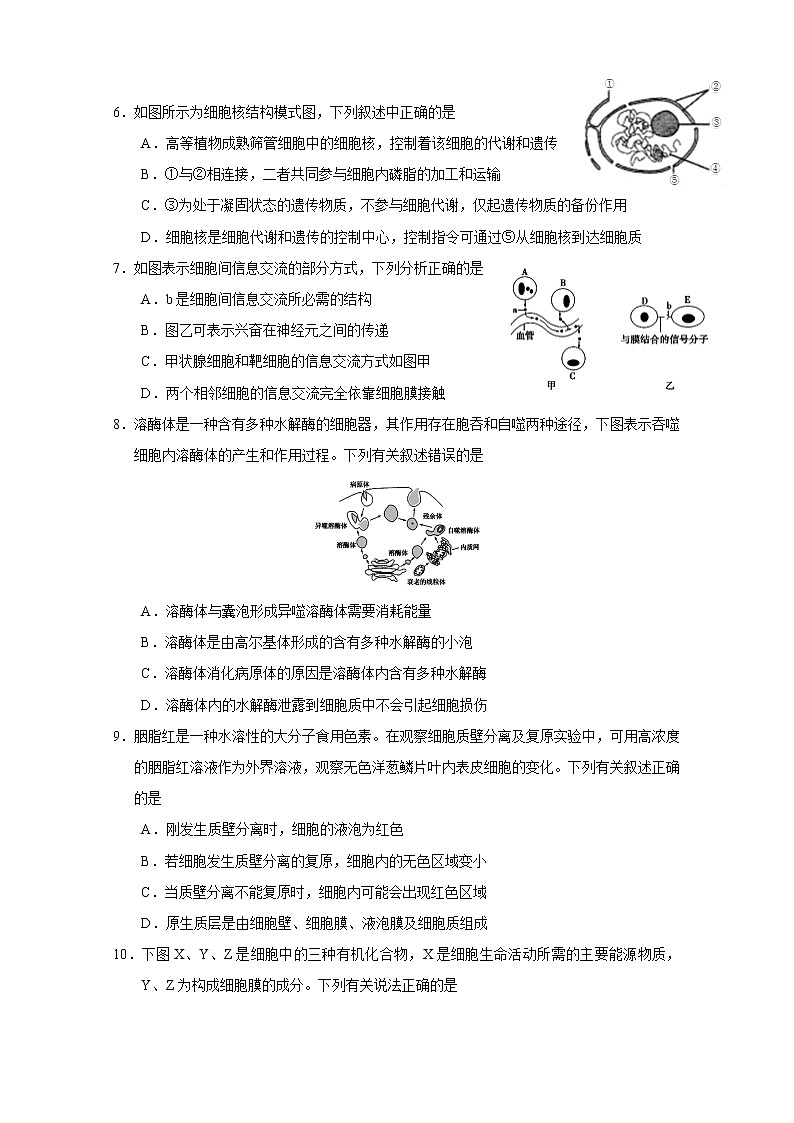 2021南宁三中高二12月月考生物（理）试题含答案02