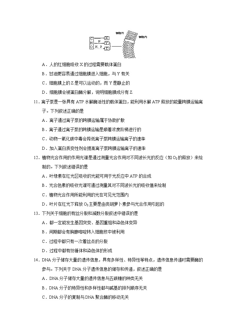 2021南宁三中高二12月月考生物（理）试题含答案03