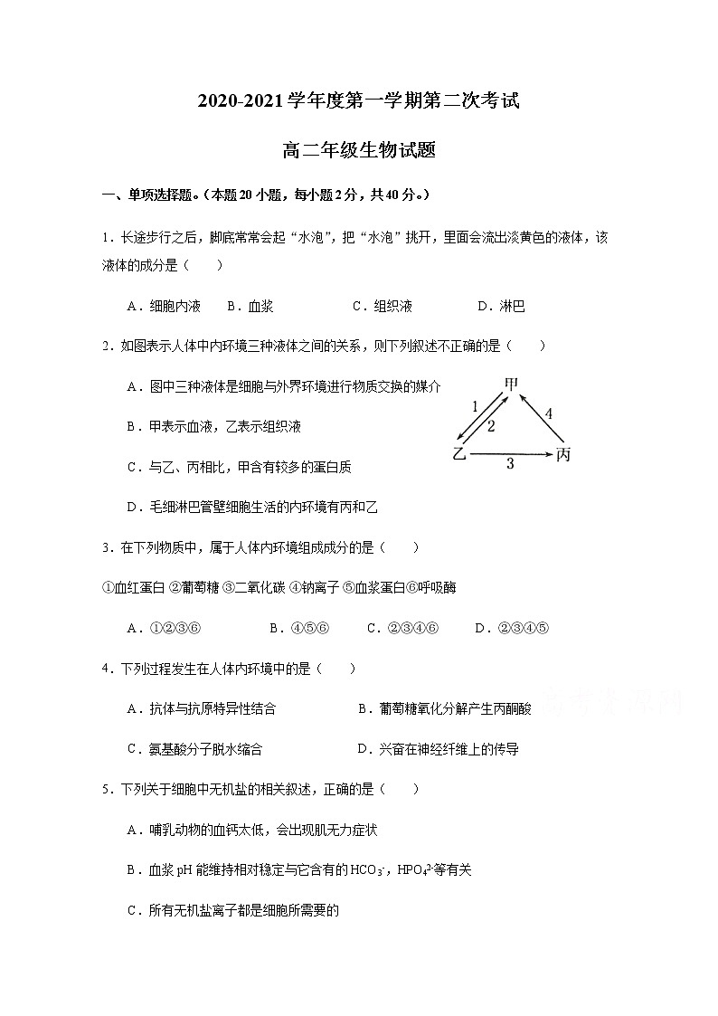 2021江门二中高二上学期第二次考试（期中）生物试题含答案01