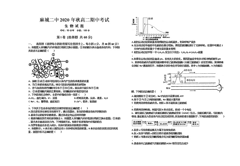 2021黄冈麻城二中高二上学期期中考试生物试题含答案第1页