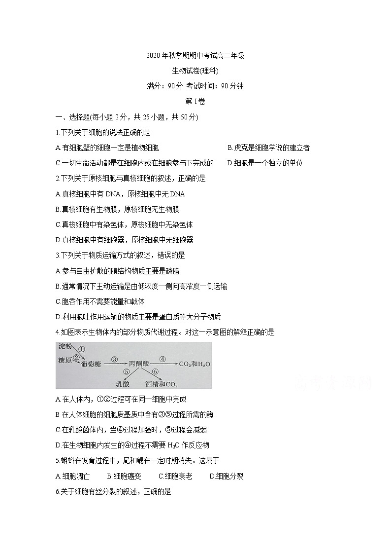 2021岑溪高二上学期期中考试生物（理）含答案第1页