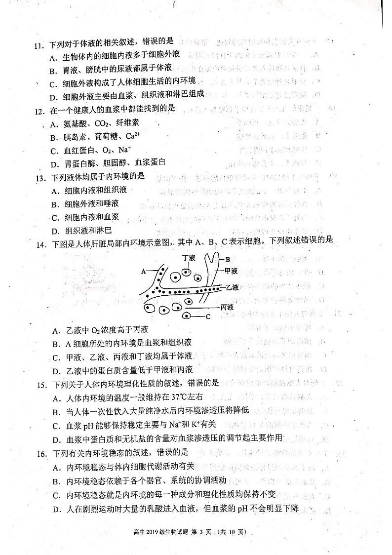 2020～2021学年度上期高中2019级期中联考生物试题PDF图片版第3页