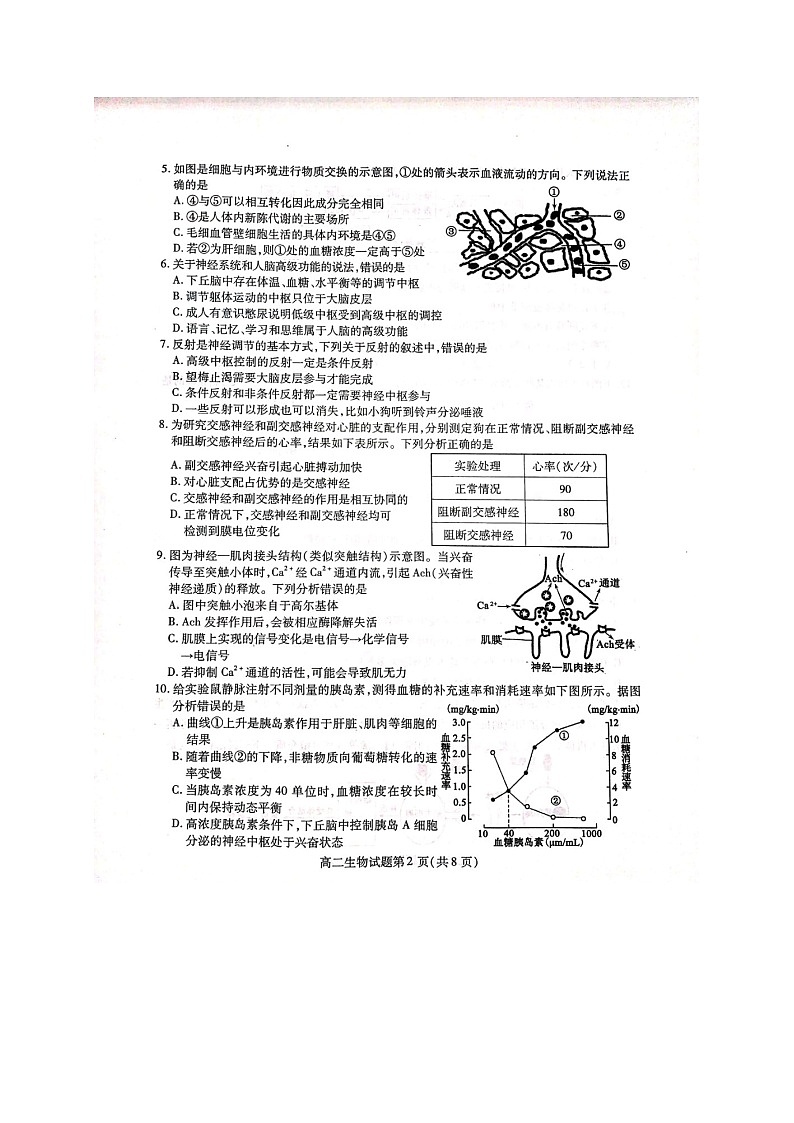 2021聊城高二上学期期中考试生物试题图片版含答案第2页