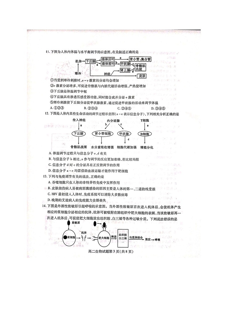 2021聊城高二上学期期中考试生物试题图片版含答案第3页
