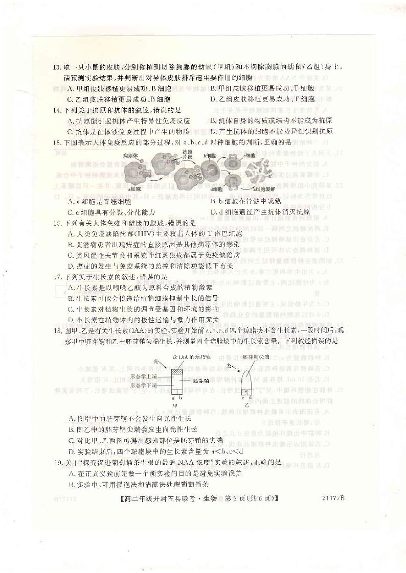 2021开封五县高二上学期期中联考生物试题扫描版含答案03