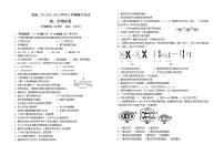 2021龙海二中高二上学期期中考试生物含答案