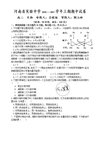 2021河南省实验中学高二上学期期中考试生物含答案