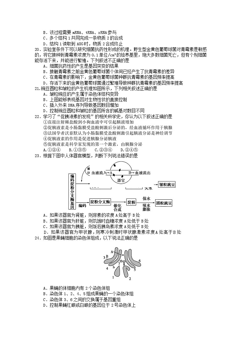 2021永安一中高二上学期期中考试生物含答案03
