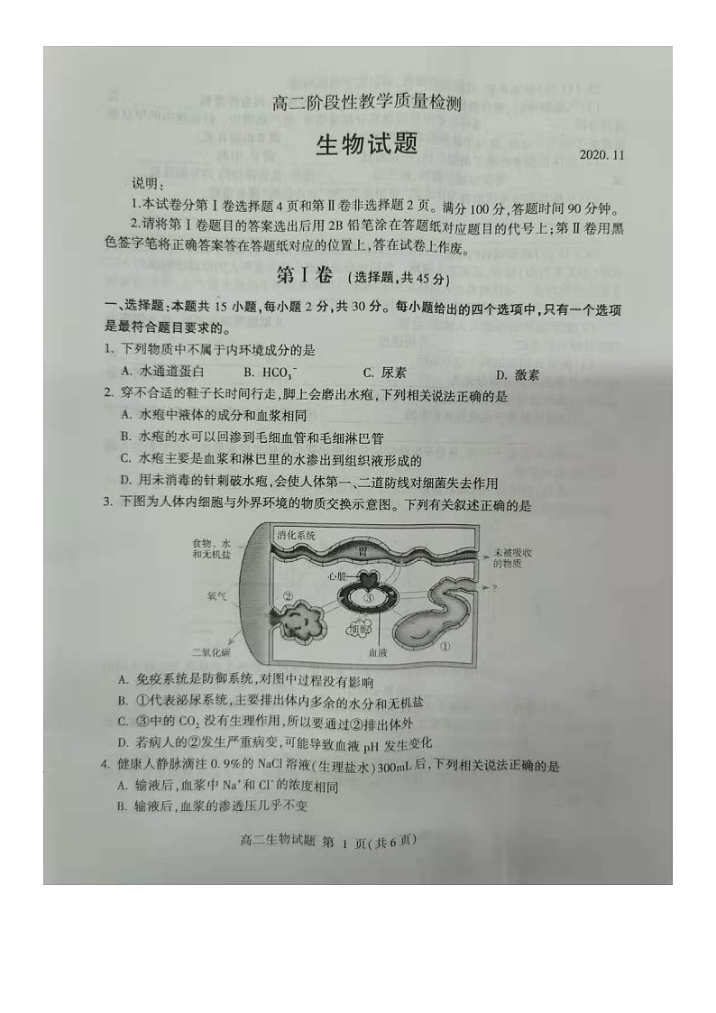 2021山东省平邑县、沂水县高二上学期期中联考生物试卷图片版含答案01