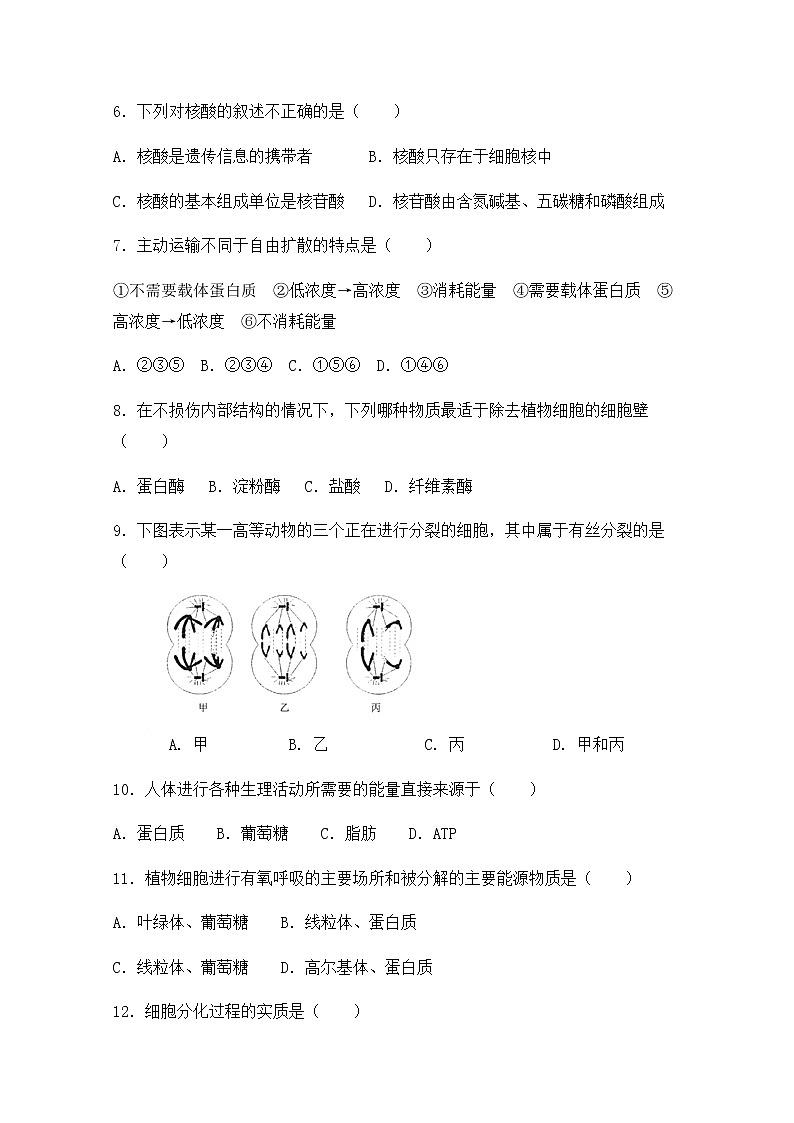 2021峨山彝族自治县一中高二上学期期中考试生物（文）试题含答案第2页