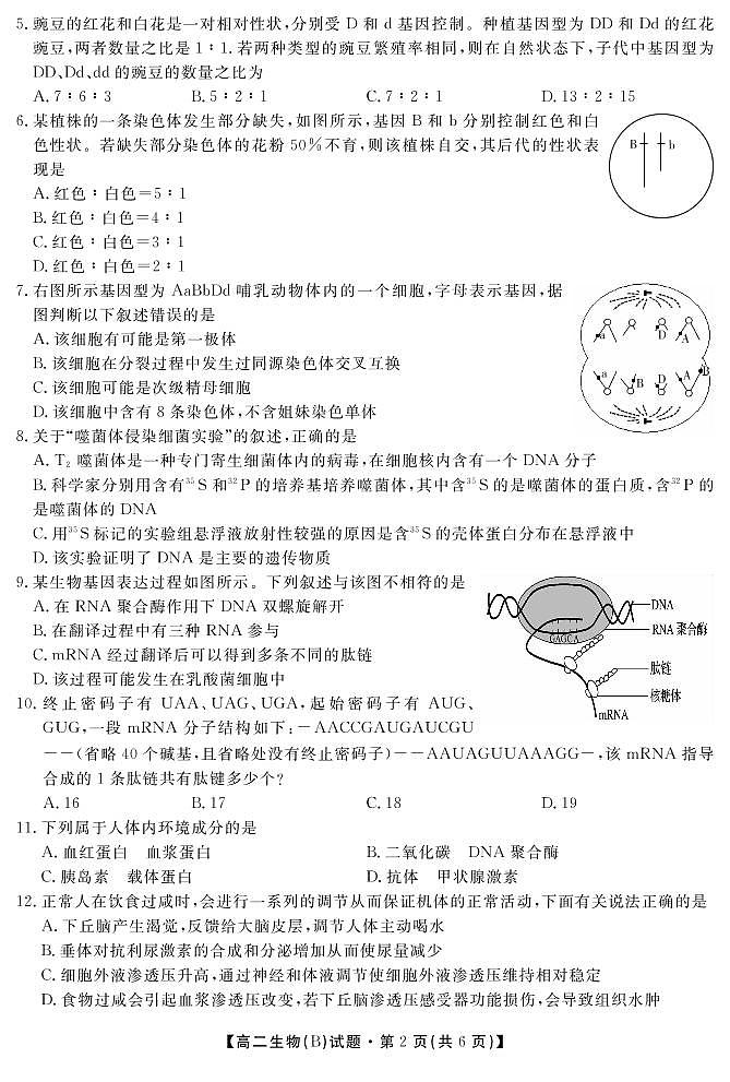 2021湖南省五市十校高二上学期第一次联考生物B卷试题PDF版含答案02
