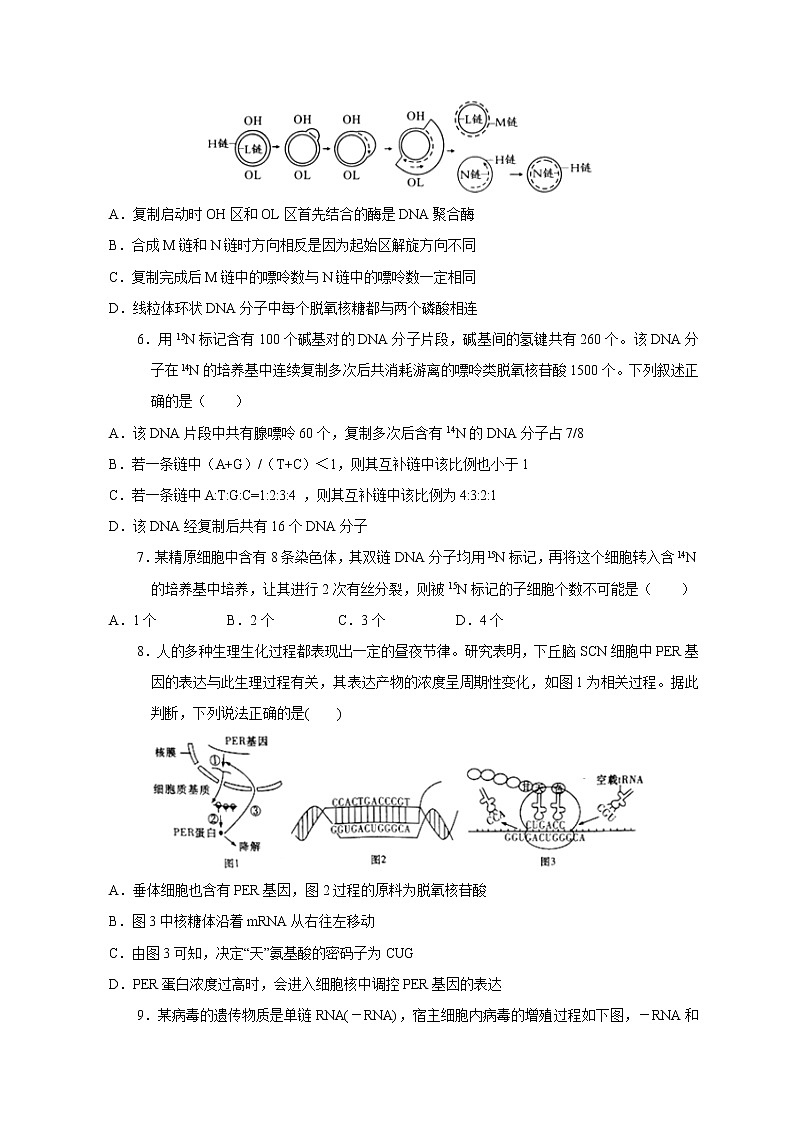 2021南昌二中高二上学期期中考试生物试题含答案02