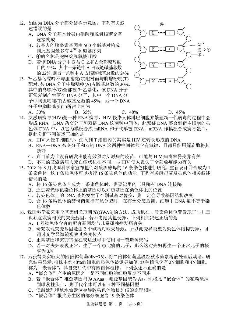 湖南省湖湘教育三新探索协作体2020-2021学年高二11联考（期中）生物试题第3页