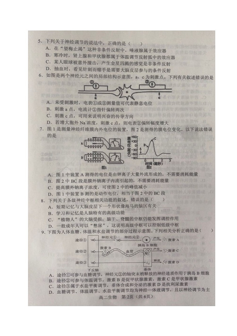 2021沈阳郊联体高二上学期期中考试生物试题扫描版含答案第2页