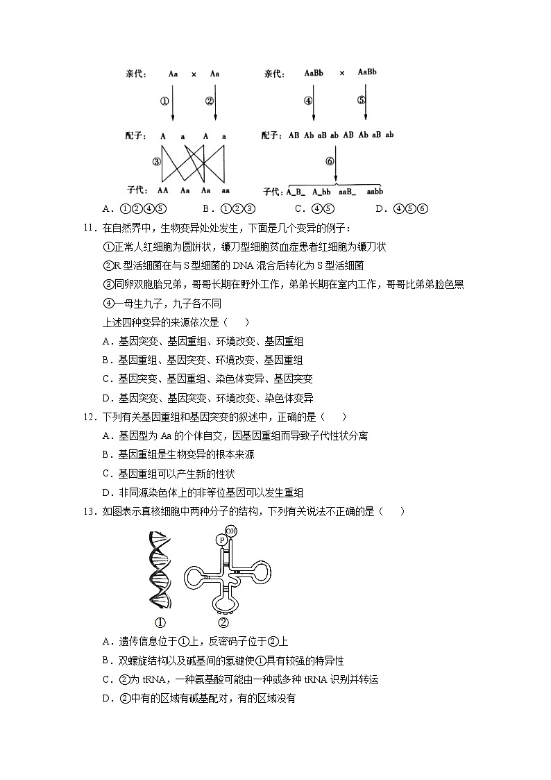2021静宁县一中高二上学期第二次月考（实验班）生物试题含答案03