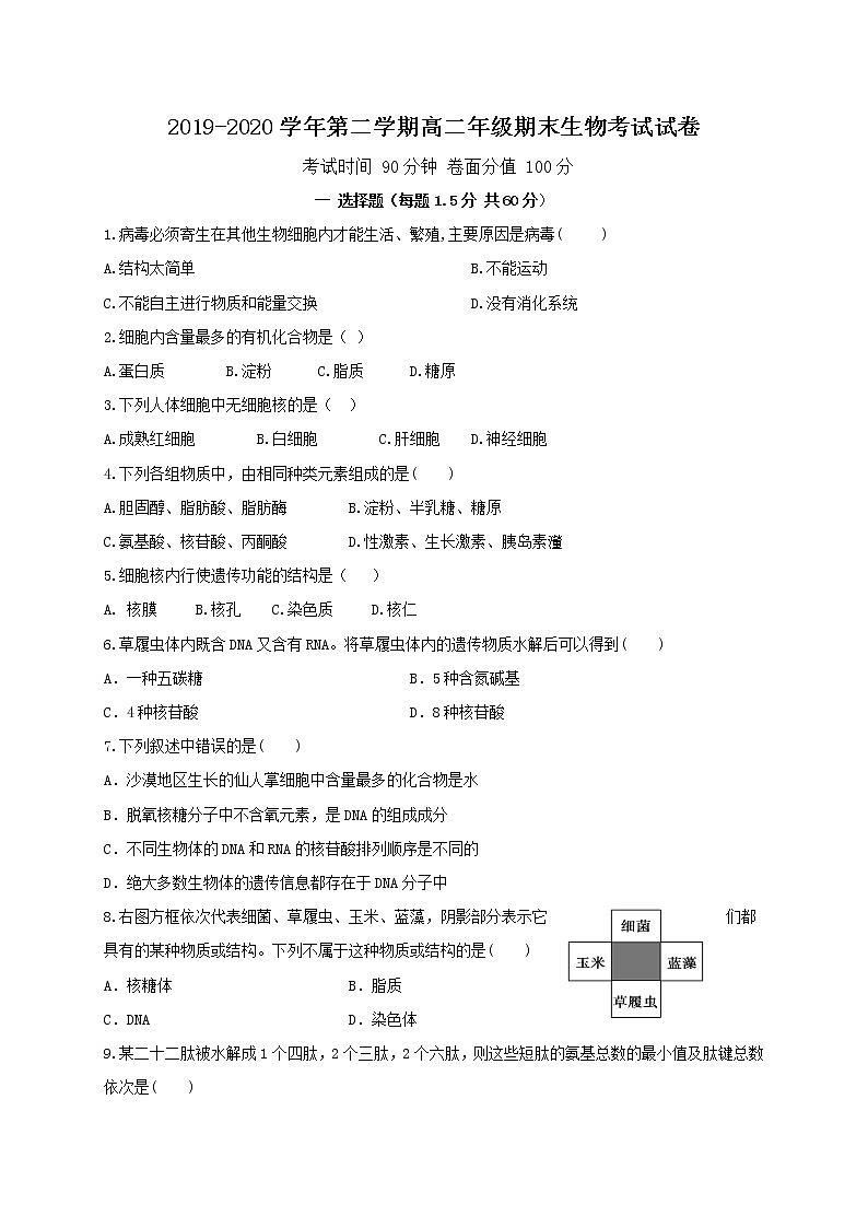新疆生产建设兵团第四师第一中学2019-2020学年高二下学期期末考试生物试题第1页