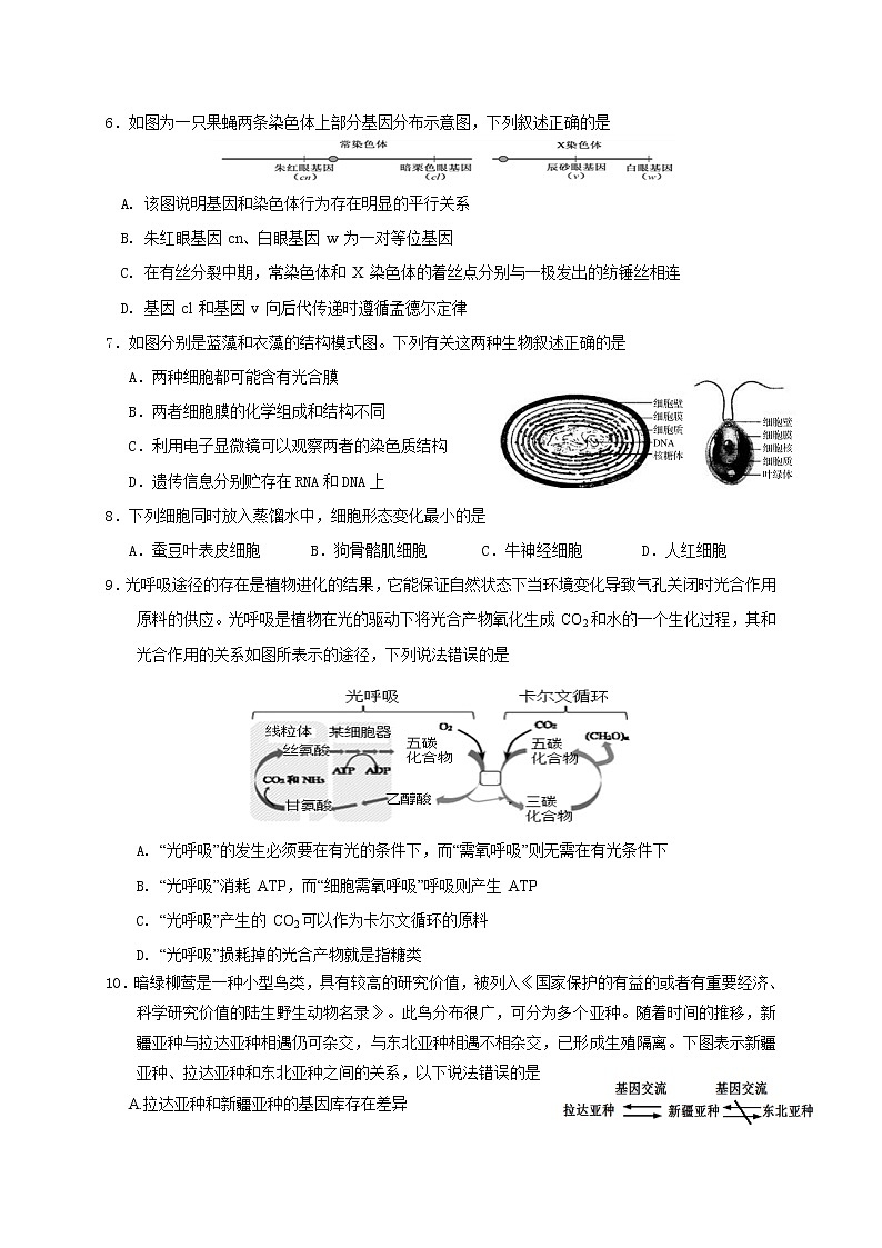 2021浙江省东阳中学高二10月阶段考试生物试题含答案第2页