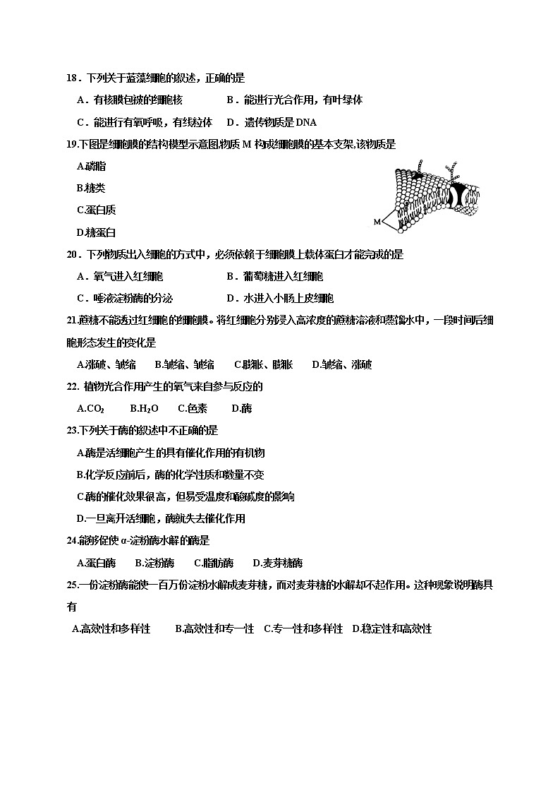 2021淮安涟水县一中高二10月阶段性测试生物（必修）试题含答案第3页