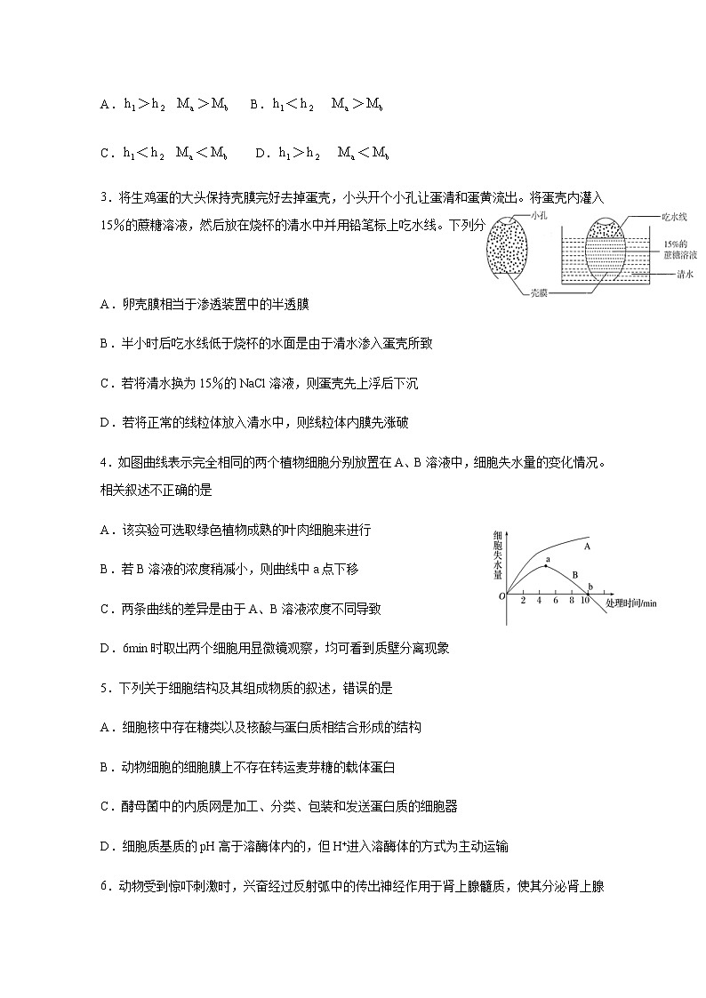 2021四川省棠湖中学高二上学期第一次月考生物试题含答案第2页