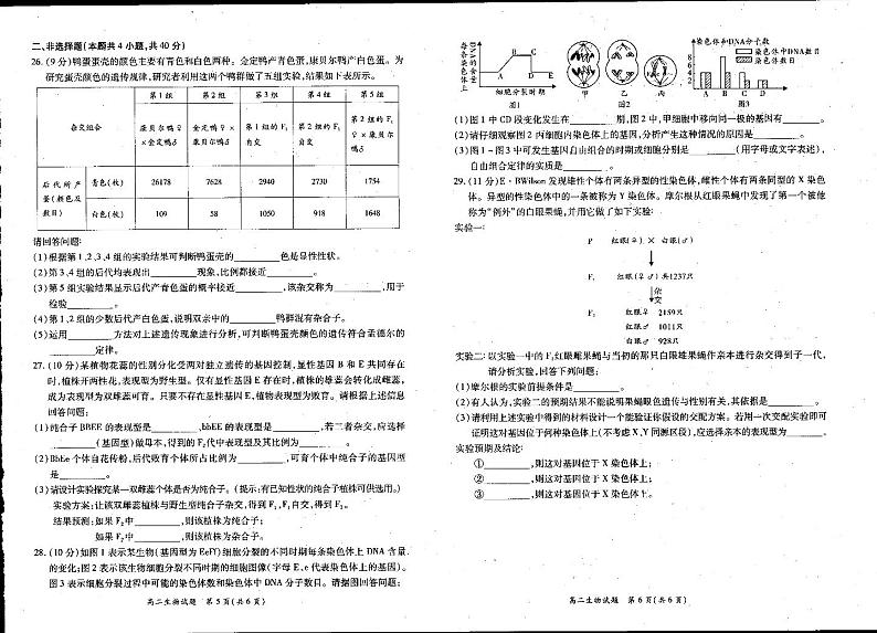 2021河南省豫西名校高二10月联考生物试题PDF版含答案02