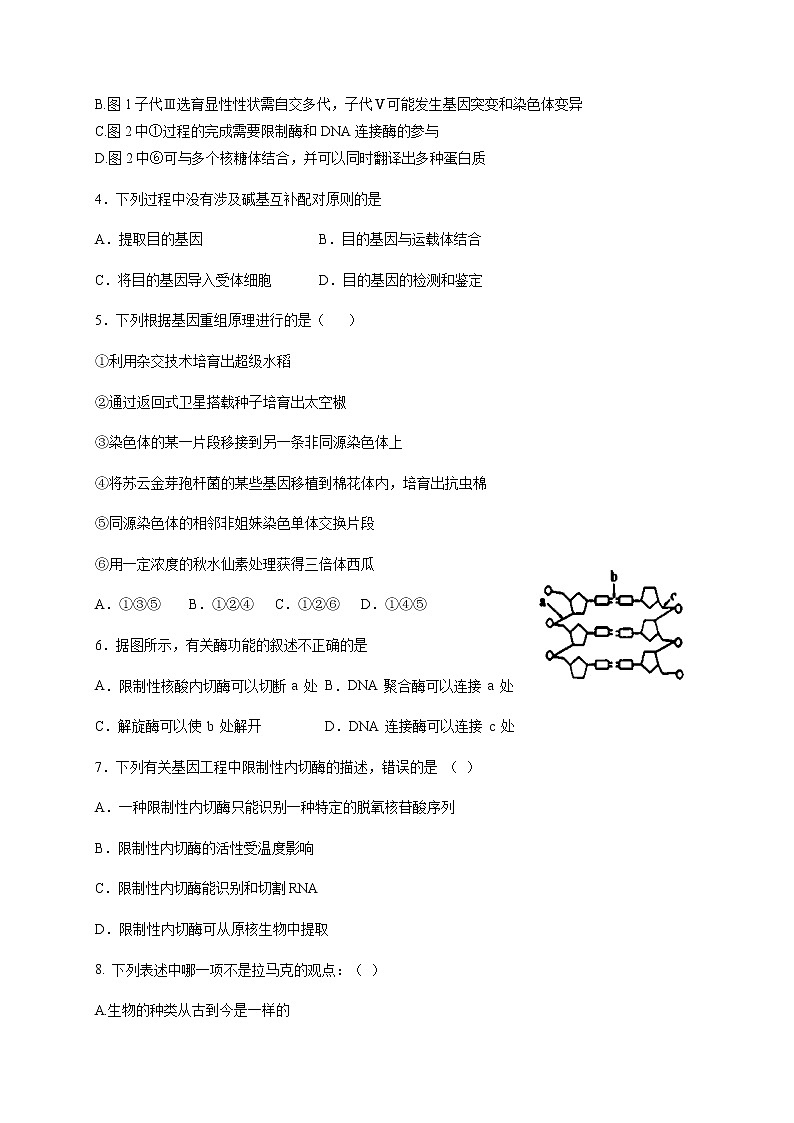 2021四川省新津中学高二10月月考生物试题含答案02