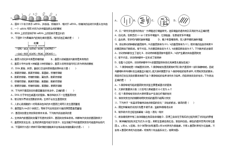 第一次月考生物第2页