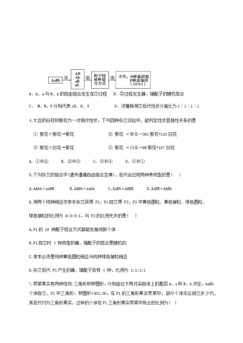 2021省双鸭山一中高二10月月考生物试题含答案第2页