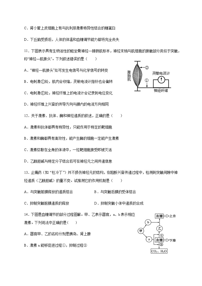 2021邯郸大名一中高二上学期9月月考生物试题含答案03