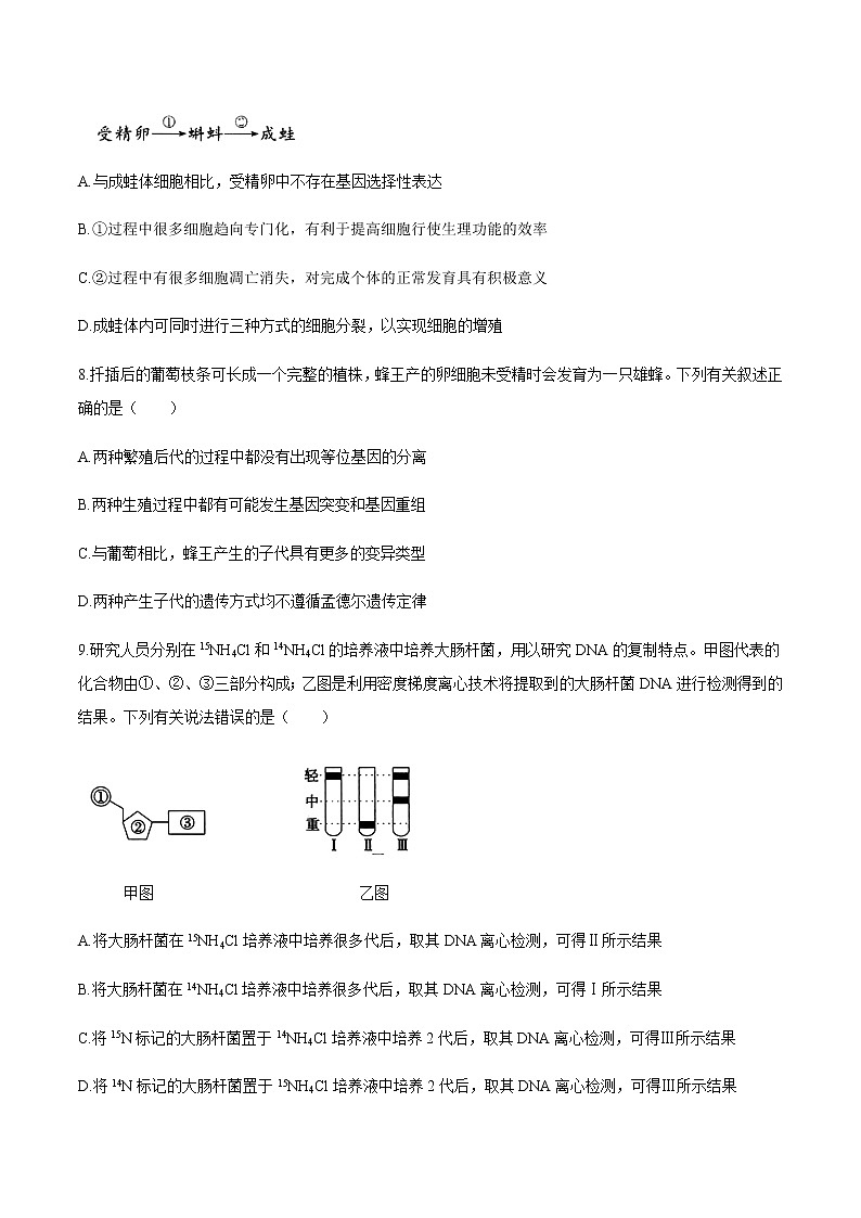 2020池州高二下学期期末联考生物试题含答案第3页